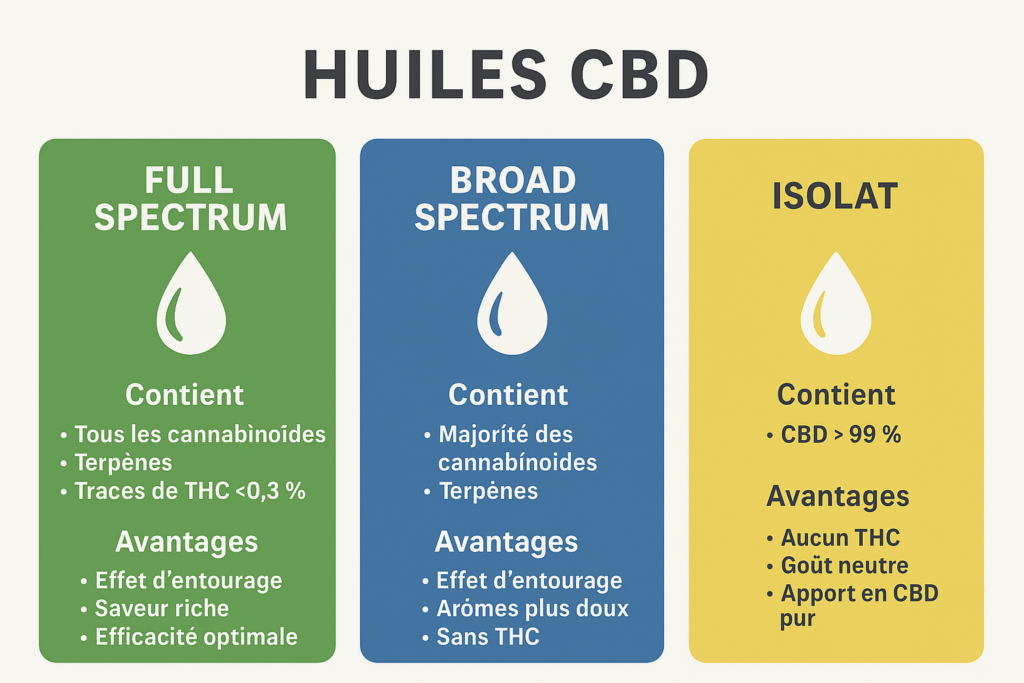 Infographie comparant l’huile CBD Full Spectrum, Broad Spectrum et Isolat avec leurs avantages et caractéristiques