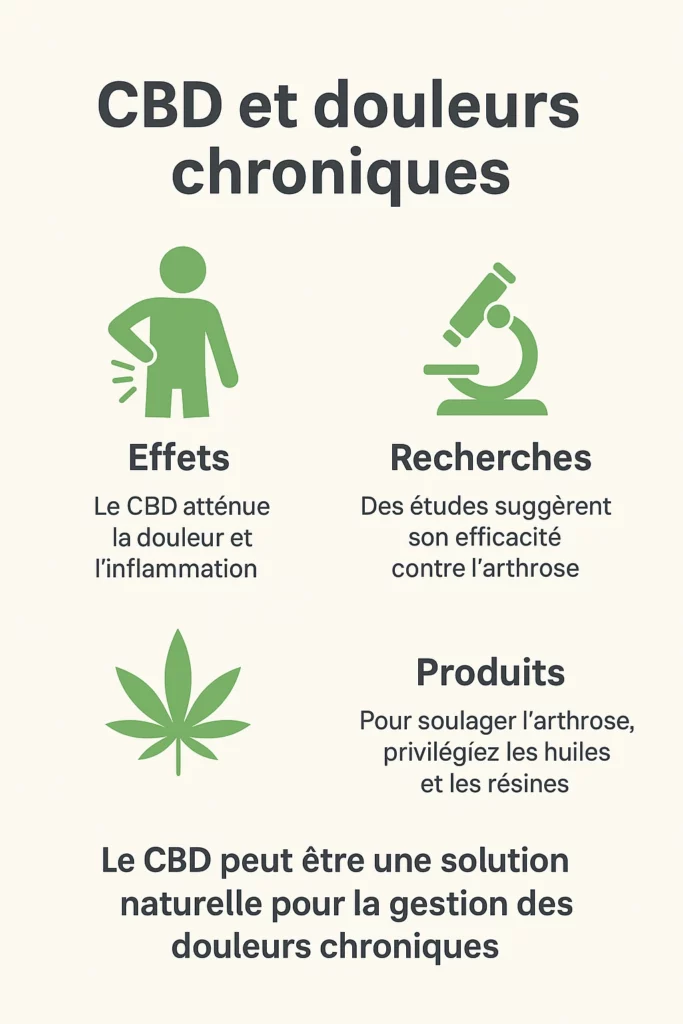 Infographie illustrant les effets du CBD sur les douleurs chroniques et l’arthrose, avec explications sur ses propriétés anti-inflammatoires naturelles.