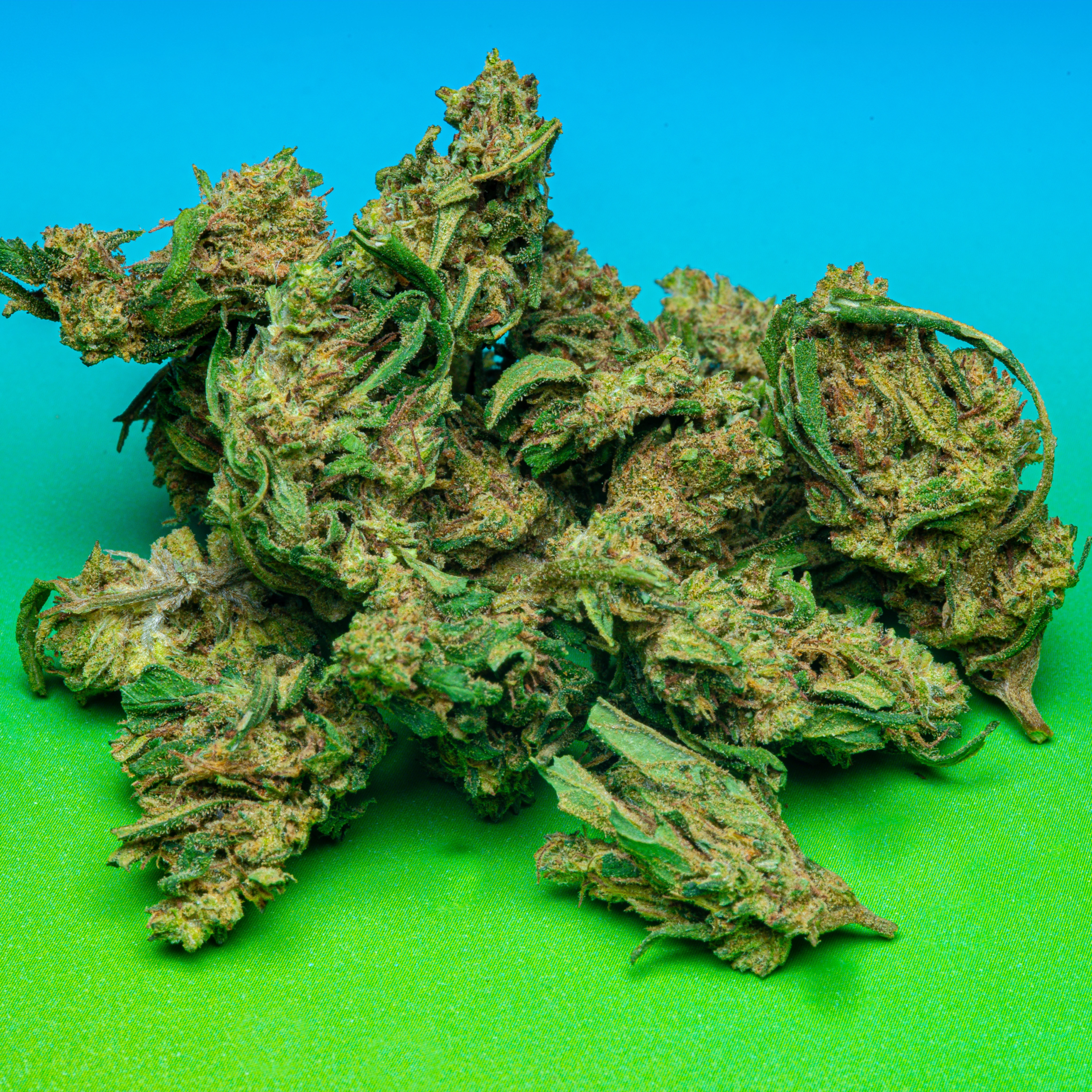 Le Club CBD (2026-02-11) Cannatomic HD-2