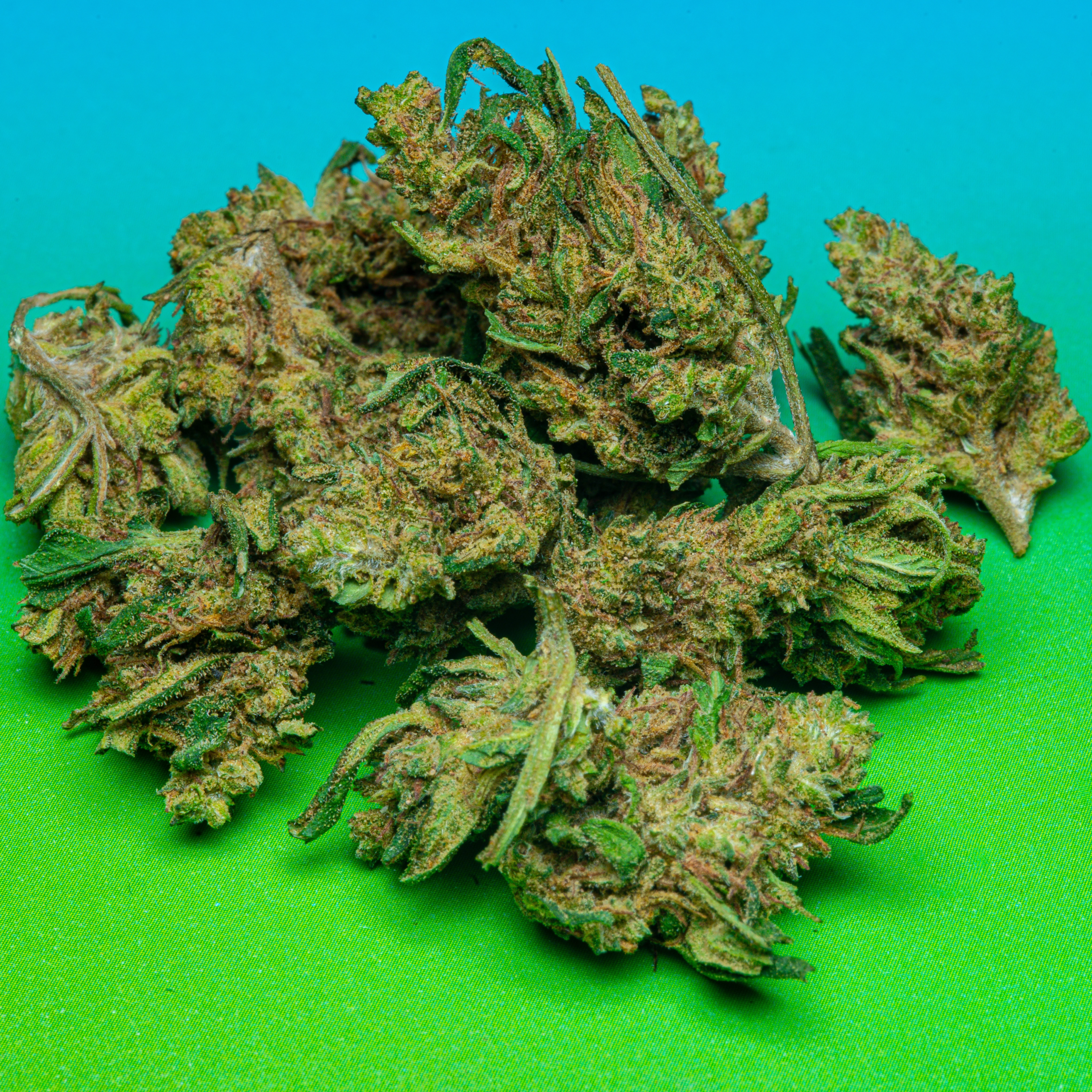 Le Club CBD (2026-02-11) Cannatomic HD-4